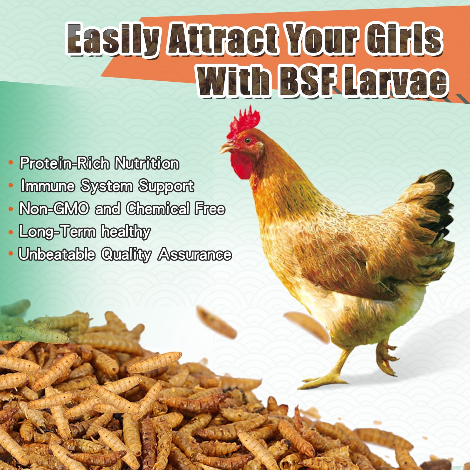 RIDWIND Dried Black Solidier Fly Larvae 44Lbs High-Protein BSF Larvae Chicken Treats Non-GMO BSFL for Chickens Hens, Ducks Wild Birds