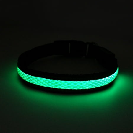 Led Dog Collar USB Rechargeable Dog Visibility & Safety Adjustable Flashing Collar for Small/Medium/Large (Best E Collar For Large Dogs)