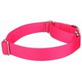thumbnail image 4 of Country Brook Design&reg; Martingale Heavyduty Nylon Dog Collar/Double Handle Leash, 4 of 7