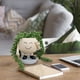 thumbnail image 4 of ¡Aprovecha las Ofertas!, Maceta con forma de hombrecito sonriente de Biye, bonita y carnosa, para jardín, patio, diseño de plantas, macetas Akmoler, 4 of 7