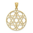 thumbnail image 4 of 14K Yellow Gold Charm Pendant Themed 31 mm 22 Star Of David Circle, 4 of 4