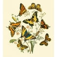 thumbnail image 2 of Vision Studio 26x28 Gold Ornate Wood Framed with Double Matting Museum Art Print Titled - Butterfly Gathering I, 2 of 4