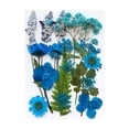 thumbnail image 4 of Dried Flower Craft Kit For Diy Enthusiasts Create Beautiful Decorations At Home, 4 of 9