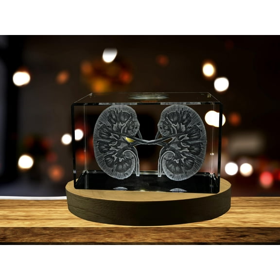 Kidneys | 3D Engraved Crystal Keepsake | Gift/Decor | Collectible | Souvenir | Personalized 3d Crystal Photo Gift | Customized 3d Photo Engraved Crystal