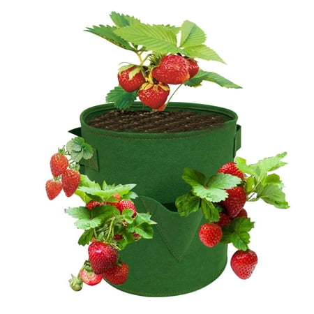 Yeacher 10 Gallon Strawberry Grow Bags with 8 Grow Pouches Planter Box ...