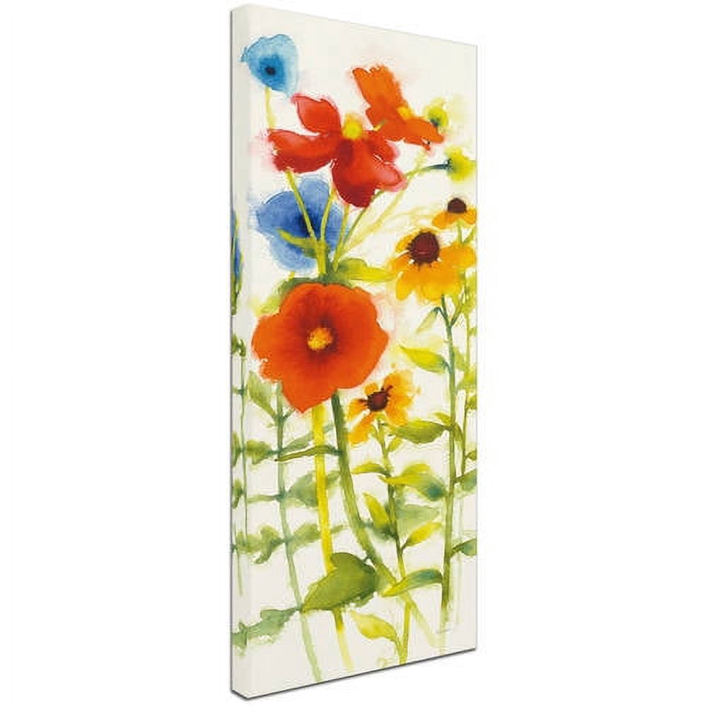 Trademark Fine Art "Americana Meadow III" Canvas Art by Shirley Novak