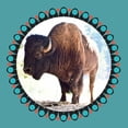 thumbnail image 3 of Phillip, Jamie 20x20 Black Modern Framed Museum Art Print Titled - Buffalo Ring 2, 3 of 5