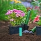 thumbnail image 4 of 100 Unidades De Etiquetas De Plástico Etiquetas Para Jardín Etiquetas Para Jardinería Etiquetas Para Suelo, 4 of 7