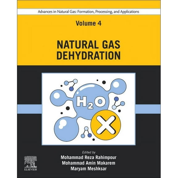 Advances in Natural Gas: Formation, Processing, and Applications. Volume 4: Natural Gas Dehydration, (Paperback)