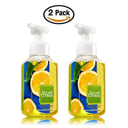 Bath Body Works Sea Salt Citrus Hand Soap Pack Of 2