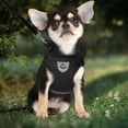 thumbnail image 3 of Dog Harness and Lead Set, Soft, Breathable Mesh, No Pull Dog Harness, Reflective Adjustable Dog Vest Strap for Small Dogs and Cats, 3 of 5