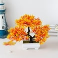 thumbnail image 1 of Trigeminal Petite Cui Simulation Plante Ornements Bonsaï en Pot Plantesa, 1 of 4