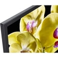 thumbnail image 3 of Televisor LED 4K Ultra HD 75 Pulgadas Sony XBR-75X800G 2019, 3 of 10