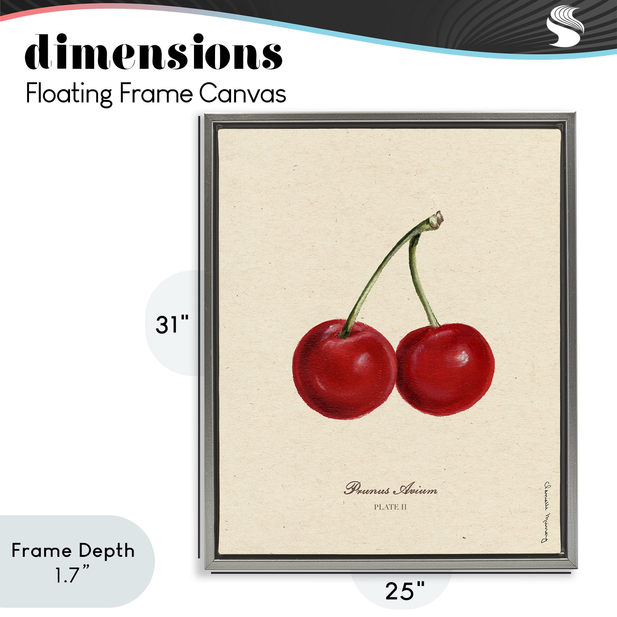 Stupell Industries Cherry Fruit Portrait Gray Framed Floater Canvas Wall Art, design by Danielle Murray