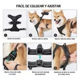 thumbnail image 2 of Pechera Para Perro Chico Arnes Ajustable Cintas Reflejantes, 2 of 8