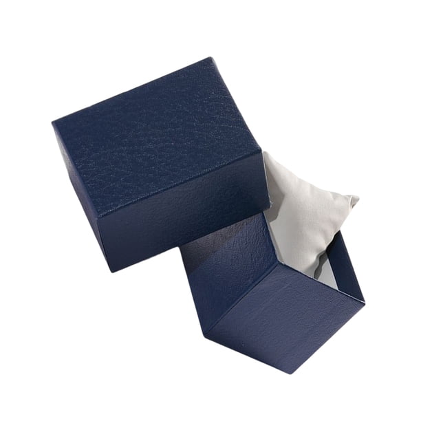Caja de almacenamiento para reloj Qarigey Azul, contenedor para joyería, Ropa, zapatos y accesorios