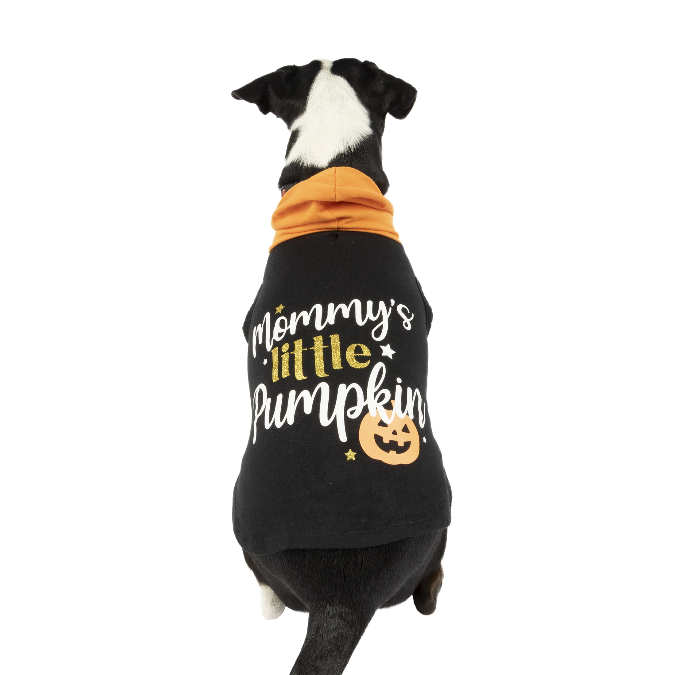 pumpkin dog jumper