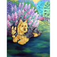 thumbnail image 1 of 28 x 40 in. Australian Terrier House Size Canvas Flag, 1 of 1