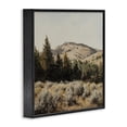 thumbnail image 2 of Stupell Industries Southwestern Cedar Mountain View Black Framed Giclee Art, 12 x 12, by Petals Prints Design, 2 of 8