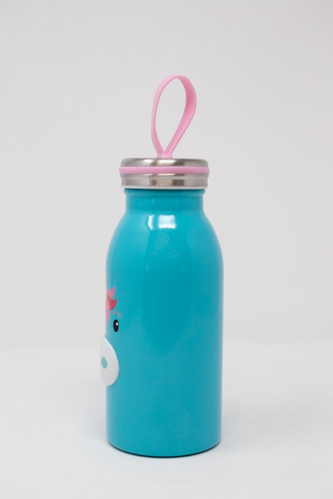 Boston Warehouse Stainless Steel Water Bottle, 12 Ounces