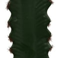 thumbnail image 4 of Vickerman Artificial 29" Green Cactus Plant., 4 of 7
