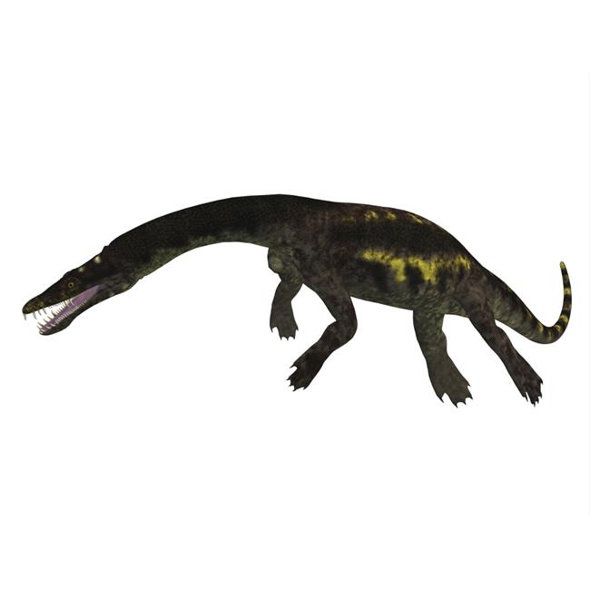 nothosaurus toy