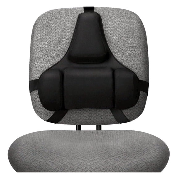 Professional Series Back Support, Black (8037601)