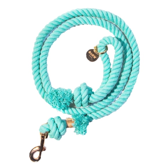 Turquoise Boho Chic Style Dog Leash - Glow Pups