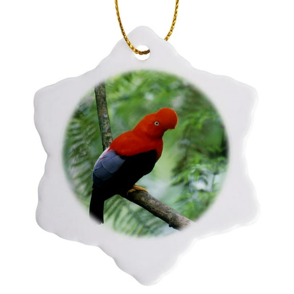 3drose, Andean Cock-of-the-rock Bird, Cosnipati Valley Peru - Sa17 Ksc0049 - Kevin Schafer, 3 inch Snowflake Porcelain Ornament