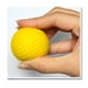thumbnail image 2 of Pelotas de Entrenamiento para golf de .24,2 Cm para de Entrenamiento para Principiantes de de Mascotas, 2 of 6