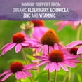 thumbnail image 5 of Garden of Life Organics Elderberry Immune Syrup, 6.59 fl oz, 5 of 8