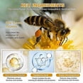 thumbnail image 5 of 3Pcs Bee Venom Wrinkle Removal Cream, Bee Venom Anti-wrinkle Firming Cream, Bee Venom Cream, Moisturizing, Lifting Recovery For All Skin Types, 5 of 5