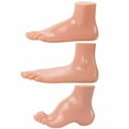 thumbnail image 2 of Axis Scientific Anatomy Model of Human Foot | Podiatry Model is a Set of 3 Human Feet | Foot Model Shows the Common Foot Conditions Flat Foot, Normal Foot and a High Arch, 2 of 8