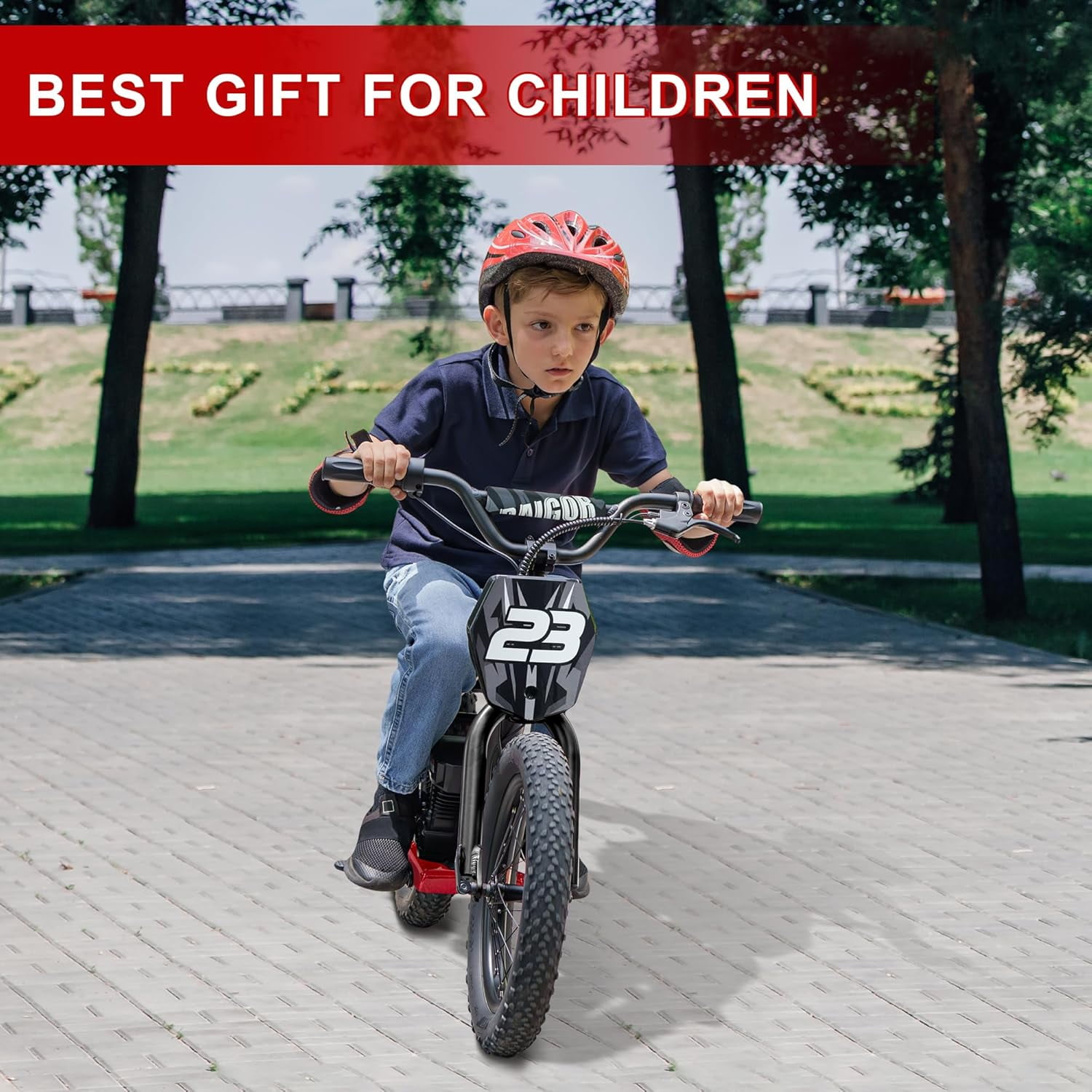 NEORIVER Electric Dirt Bike for Kids Ages 6-12, 250W Electric Motorcycle Up to 15.5MPH, 24V Detachable Battery, 16'' Inflatable Tire Electric Balance Bike with Kickstand