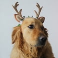 thumbnail image 4 of Diadema navideña para mascotas, diadema con astas de reno, disfraz navideño para mascotas, accesorio para el pelo para perros, 4 of 5
