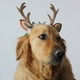 thumbnail image 4 of Diadema navideña para mascotas, diadema con astas de reno, disfraz navideño para mascotas, accesorio para el pelo para perros, 4 of 5