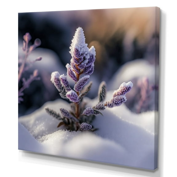 Designart A Blooming Purple Lavender Flower In Winter I Canvas Wall Art
