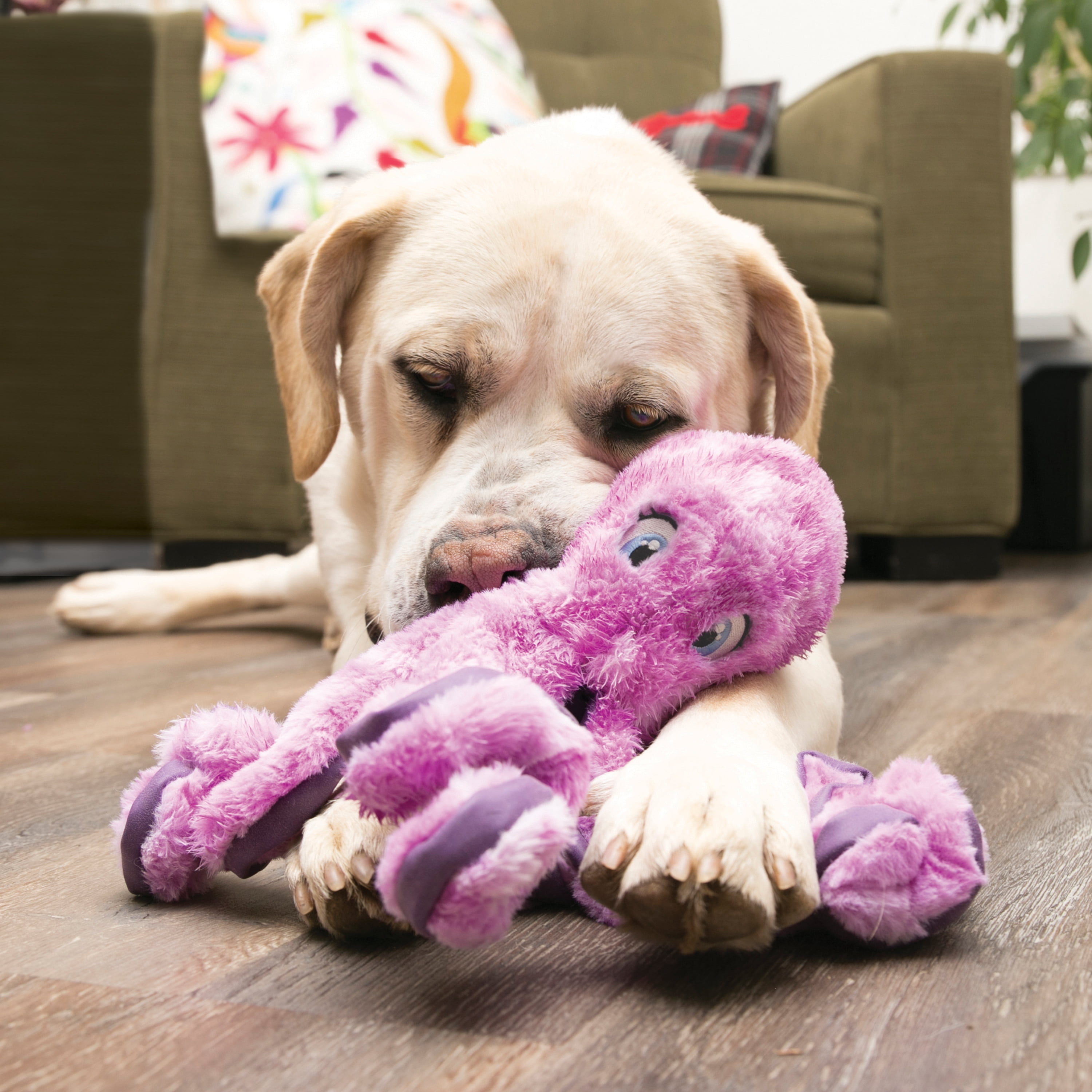 KONG Dog Toy, SoftSeas Turtle, Small Plush