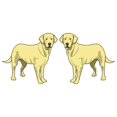thumbnail image 1 of SignMission D-Labrador Retriever 6 in. Super Mignon Autocollant de Chien - Labrador Retriever - Pack de 2, 1 of 1