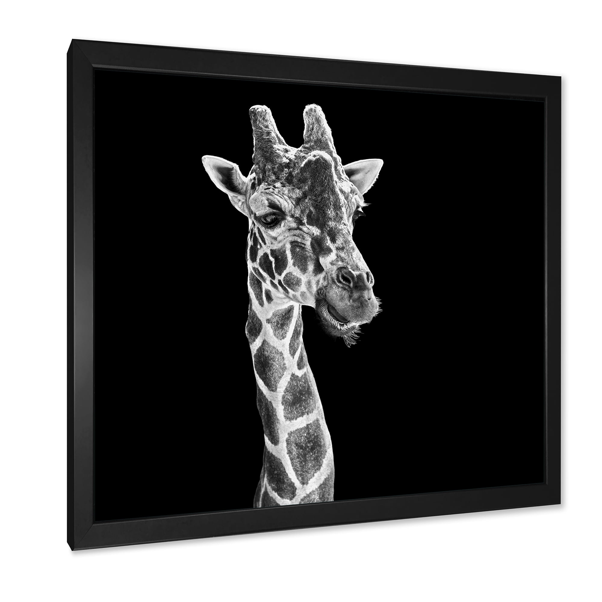 Designart 'Close Up Portrait Of A Giraffe On Black II' Farmhouse Framed Art Print