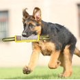thumbnail image 3 of Juguete para Morder para Perros YONGSHENG 12 Pulgadas Yute, 3 of 4