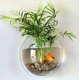 thumbnail image 5 of Xelparuc 1 galón acrílico transparente colgante montado en la pared pecera acuaponia tanque acuario planta peces burbujas Ormromra WHFLD265, 5 of 6