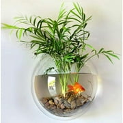 Aquarium for Betta Fish - 1-Gallon Clear Bowl, Wall Mounted with Plant Bubble, Decorative Fish Tank