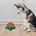 thumbnail image 5 of Cuencos de comida y agua para mascotas, comedero antivómitos para perros y gatos, protege la columna vertebral de las mascotas, 5 of 5