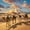 12x12 inch, variant on 5D Diamond Painting Kits for Adults Animal Theme Camel in The Desert DIY Diamond Art for Adults Beginners Picture Art Crystal Painting for Home Wall Decor