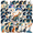 6A, variant on Dreamy Cat Theme Stickers, Waterproof Cat Theme Sticker for Water Bottle Laptop Phone Cases Planner Skateboard Luggage Helmet Party Favor Decor, Ideal for Adults Teens Teacher Rewards