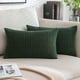 thumbnail image 1 of HAYAN Pack of 2 Lumbar Pillow Covers 12x20 Inch Granules Soft Corduroy Christmas Decorative Throw Pillow Covers for Couch Cushion Sofa Bedroom Living Room, Dark Green, 1 of 1