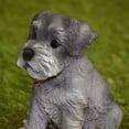 thumbnail image 5 of Garden Decor Animal Statue Schnauzer Puppy, 5 of 5