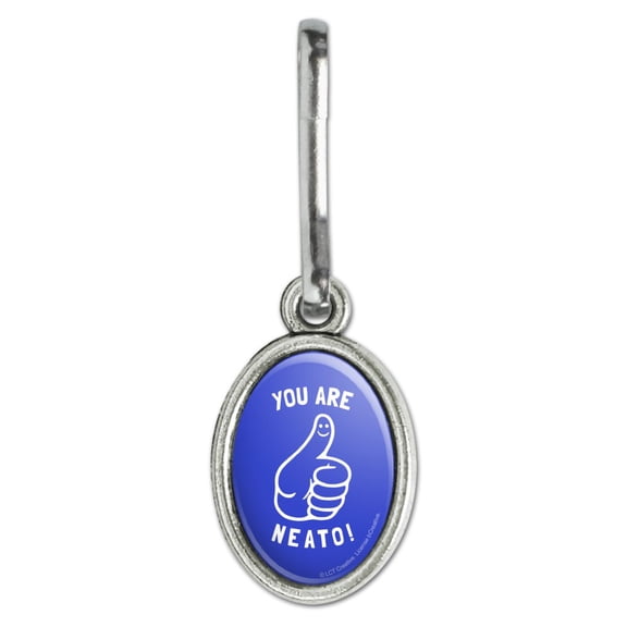 You Are Neato Cool Funny Humor Antiqued Oval Charm Clothes Purse Suitcase Backpack Zipper Pull Aid