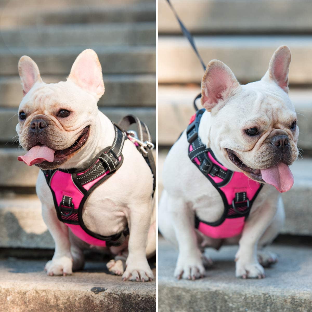 No Pull Dog Harness, No Choke Front Lead Dog Reflective Harness, Adjustable Soft Padded Pet Vest with Easy Control Handle for Small to Large Dogs(Pink, Medium)